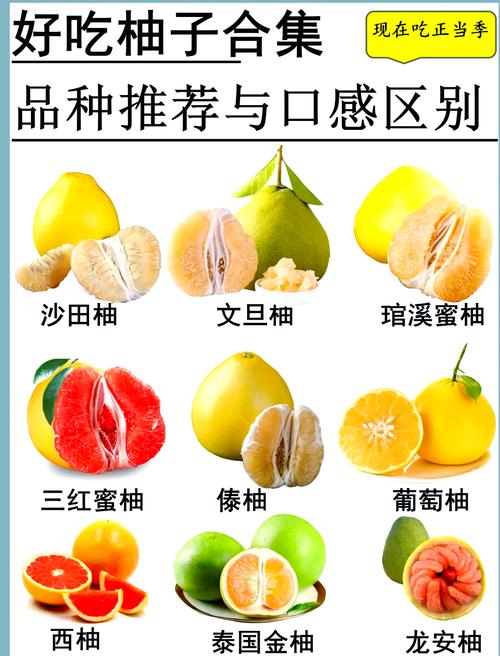 哪个品种的柚子最好吃?沙田柚与琯溪蜜柚六大维度硬核对比 三、沙田柚的独特优势:纯甜与耐储