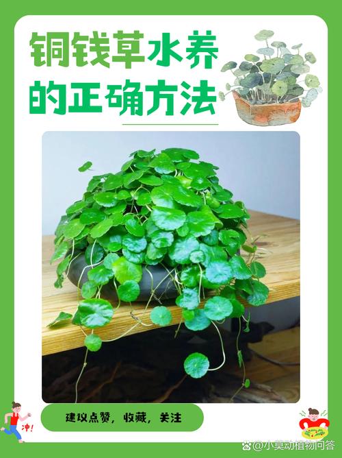 五、预防大于治疗