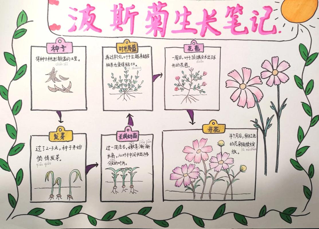 修剪促花系统指导