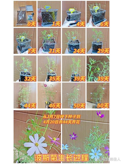 常见误区与纠正