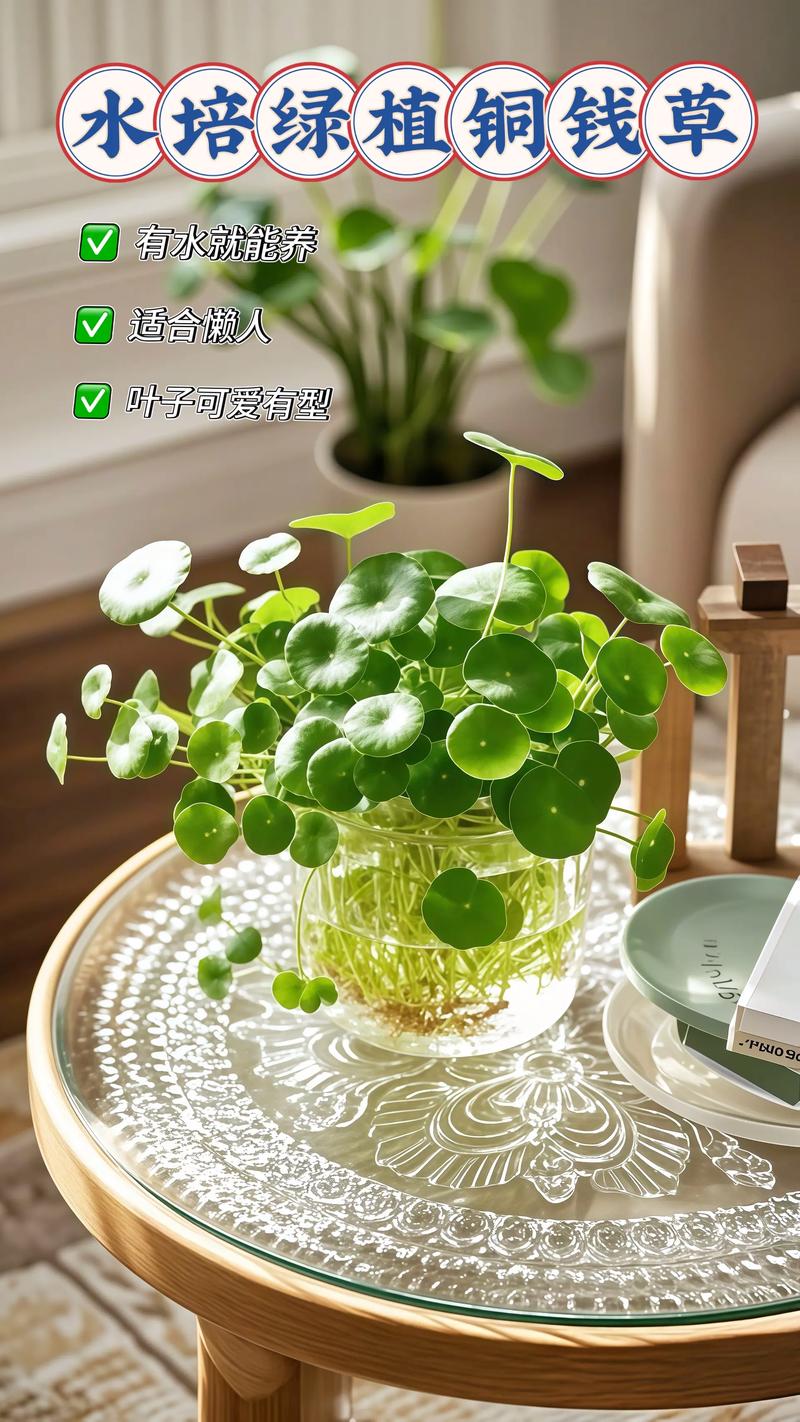 药用与食用安全性常识