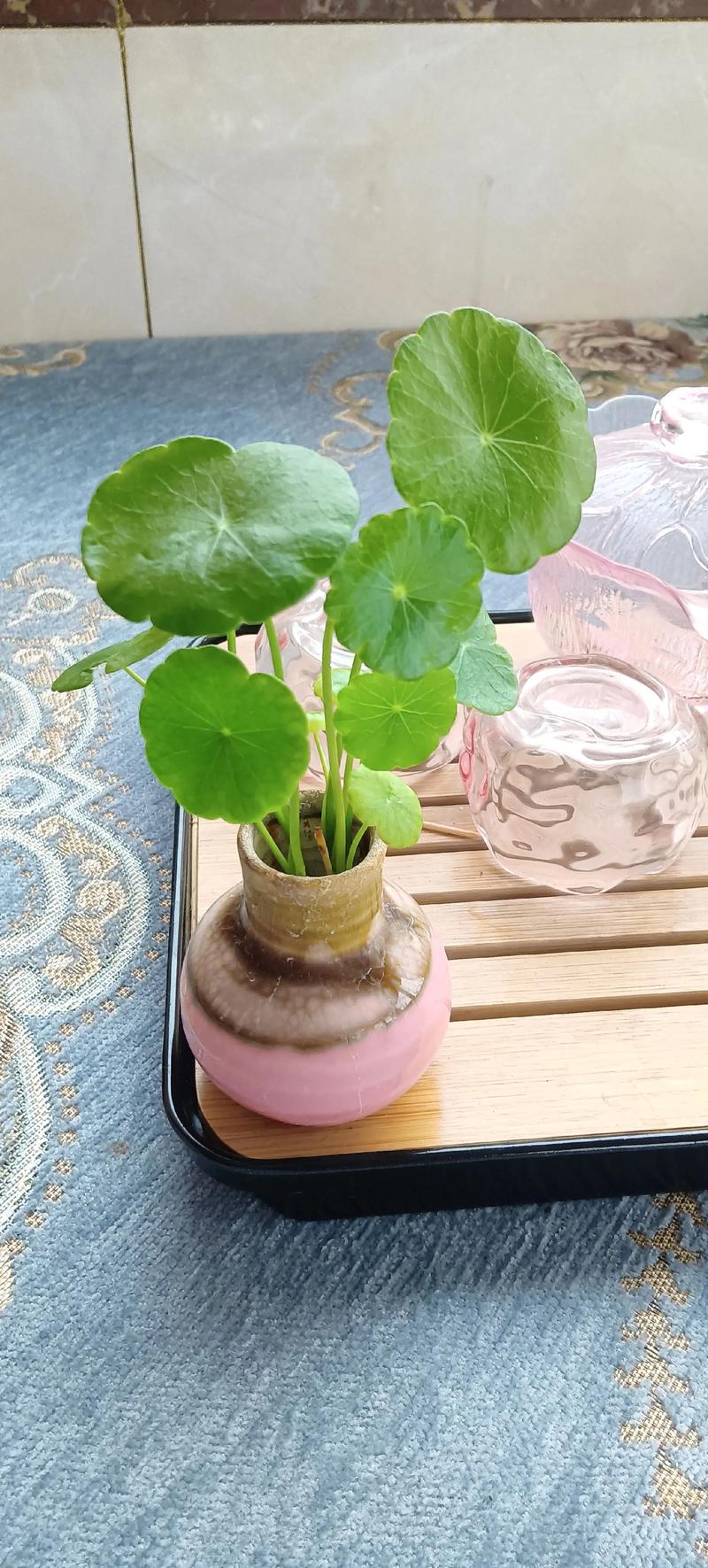 总结