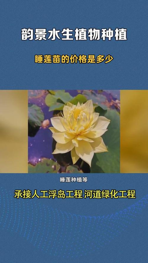 睡莲苗多少钱一颗?2026年市场参考价格区间与五大影响因素详解 五、运输:物流成本占比10%-30%,成活保障需注意
