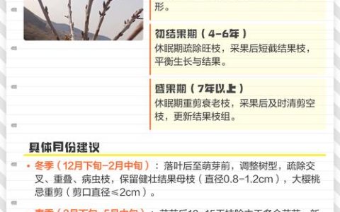 樱桃树什么时候修剪最好？家庭种植修剪时间与技巧全解析