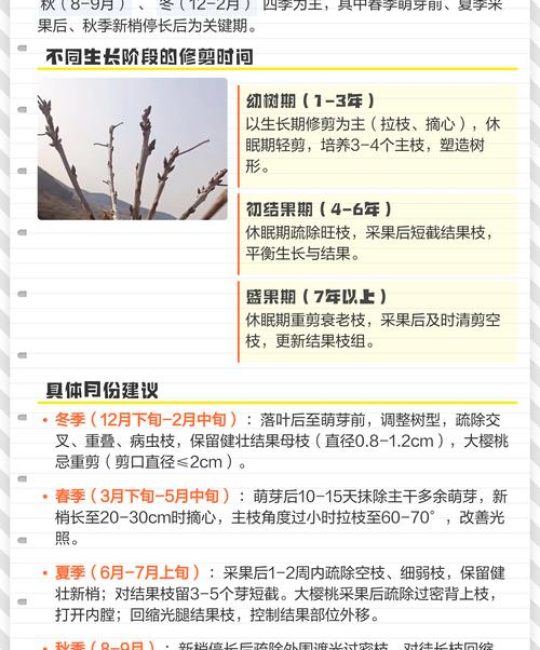 樱桃树什么时候修剪最好？家庭种植修剪时间与技巧全解析