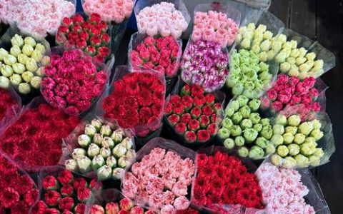 佛山鲜花批发哪里便宜？一份科学评估指南教你避开低价陷阱
