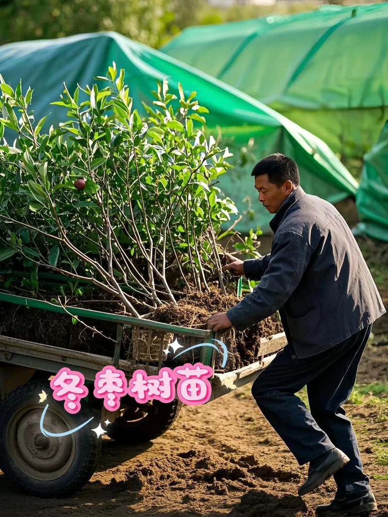 常见问题（FAQ）