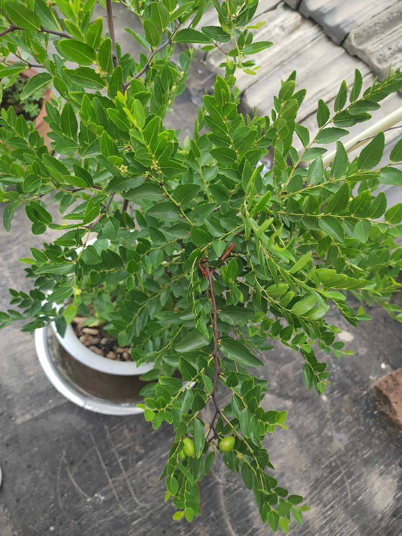 总结