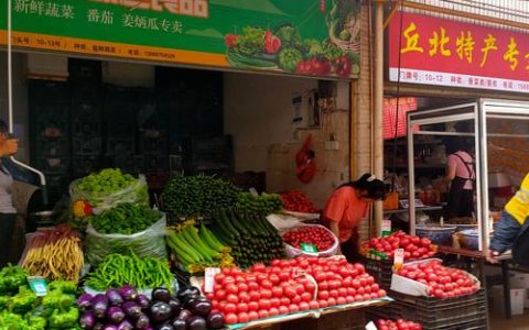 邵阳市果树苗批发市场采购指南：选对渠道，避开假苗的五大核查步骤