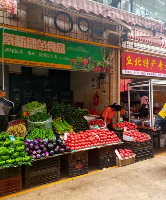 邵阳市果树苗批发市场采购指南：选对渠道，避开假苗的五大核查步骤