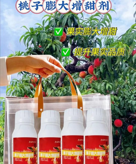 桃子膨大期用什么肥料好？家庭种植高效施肥全攻略