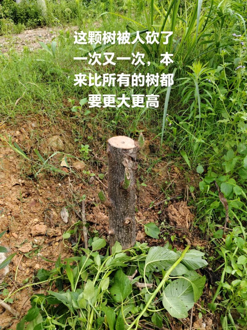一、常见场景与工程属性分析