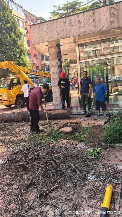 五、行业启示
