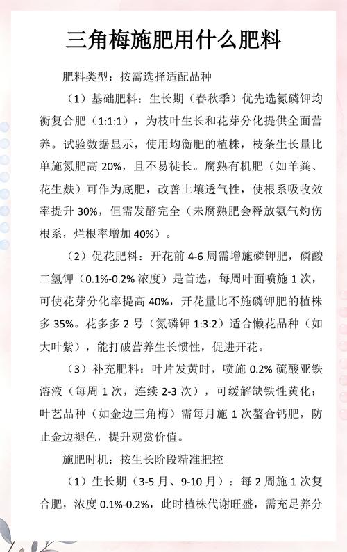 三角梅开花的时候施什么肥?花期促花施肥全攻略(含浓度与时间表) 三角梅开花期促花养护步骤(含具体操作细节)