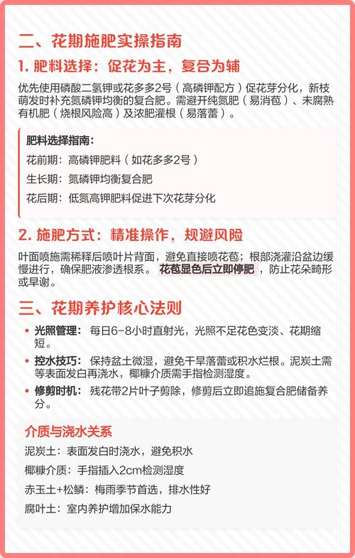 三角梅开花的时候施什么肥?花期促花施肥全攻略(含浓度与时间表) 常见问题(FAQ)