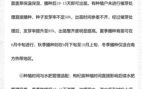 种植枸杞需要什么条件？从选时到缓苗的全流程实用指南