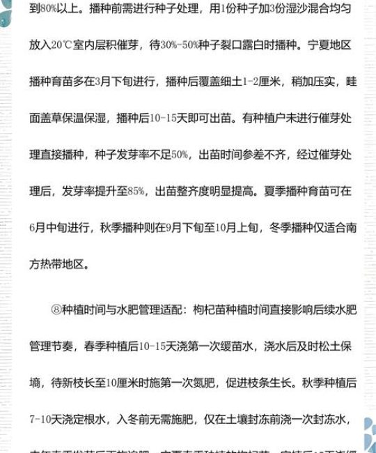 种植枸杞需要什么条件？从选时到缓苗的全流程实用指南