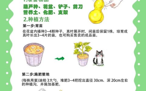 盆栽葫芦怎么养？全周期养护指南与常见问题解决