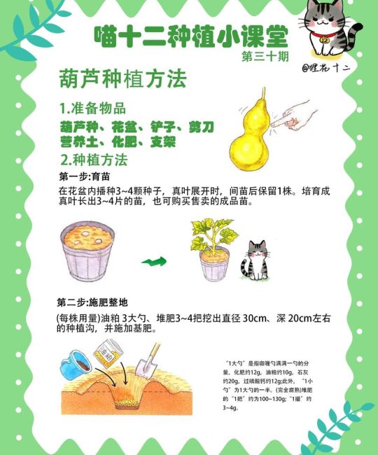 盆栽葫芦怎么养？全周期养护指南与常见问题解决