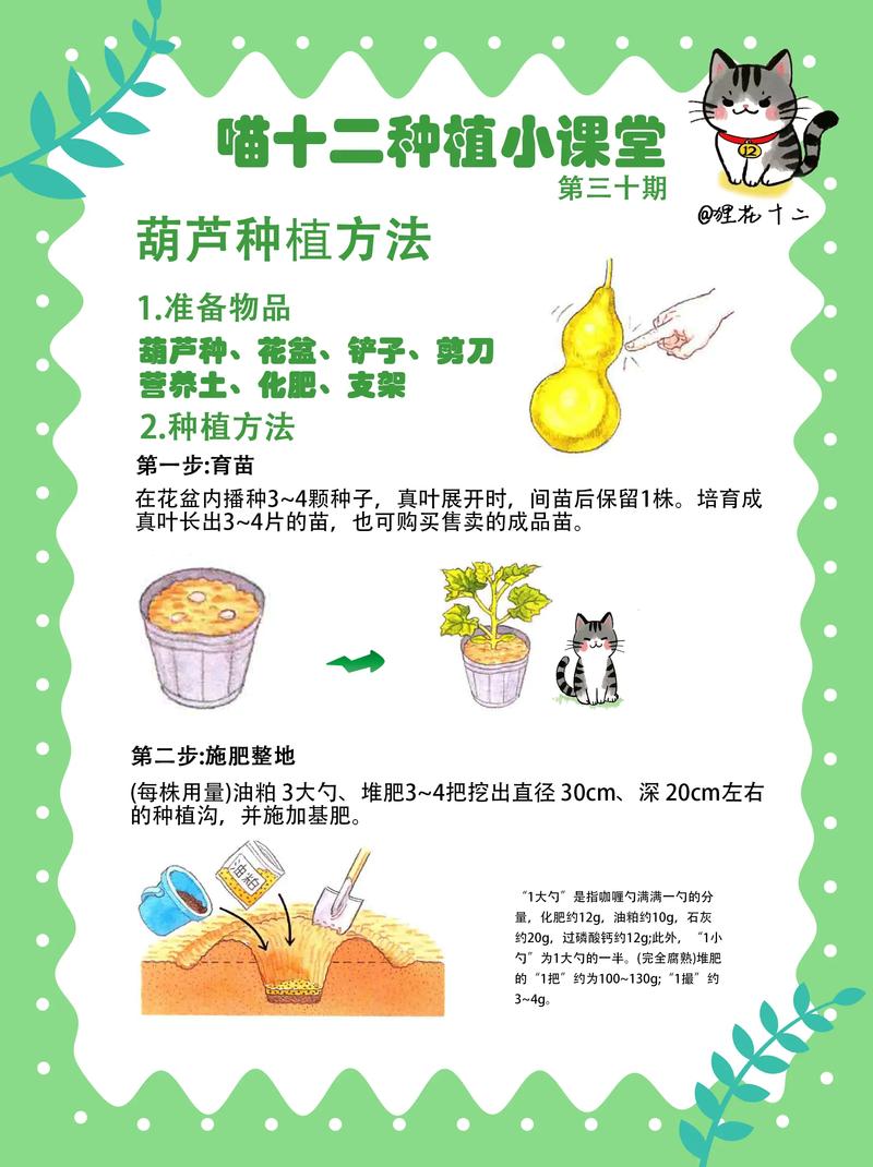 盆栽葫芦怎么养?全周期养护指南与常见问题解决 盆栽葫芦怎么养?全周期养护指南与常见问题解决