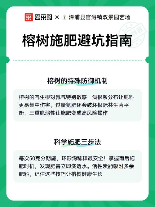 盆景榕树能用复合肥吗?科学施肥指南与注意事项 四、正确施用方法(避免肥害的关键)