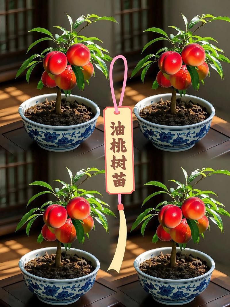 桃树适合什么土壤种植?桃园选土与土壤改良实操指南 定植前整地三步法:操作标准与检查要点