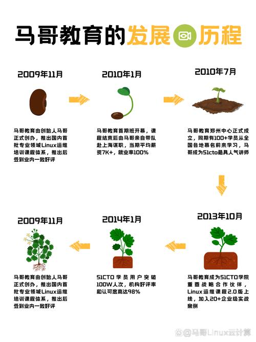 七、移栽与成活：2-3片真叶时移栽