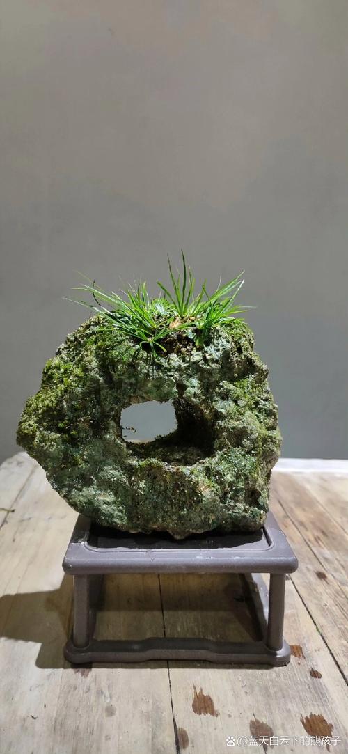 修剪促花系统指导