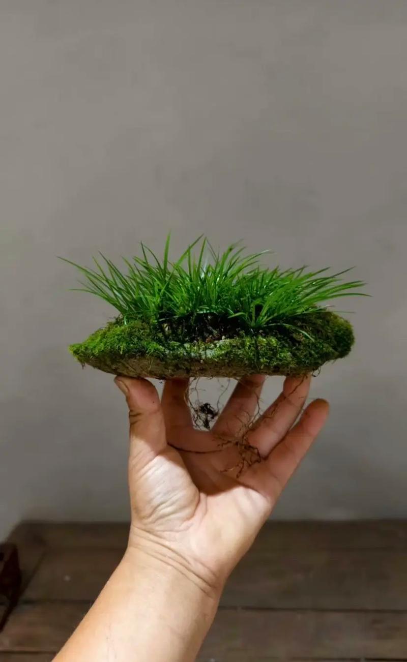 越冬与越夏管理