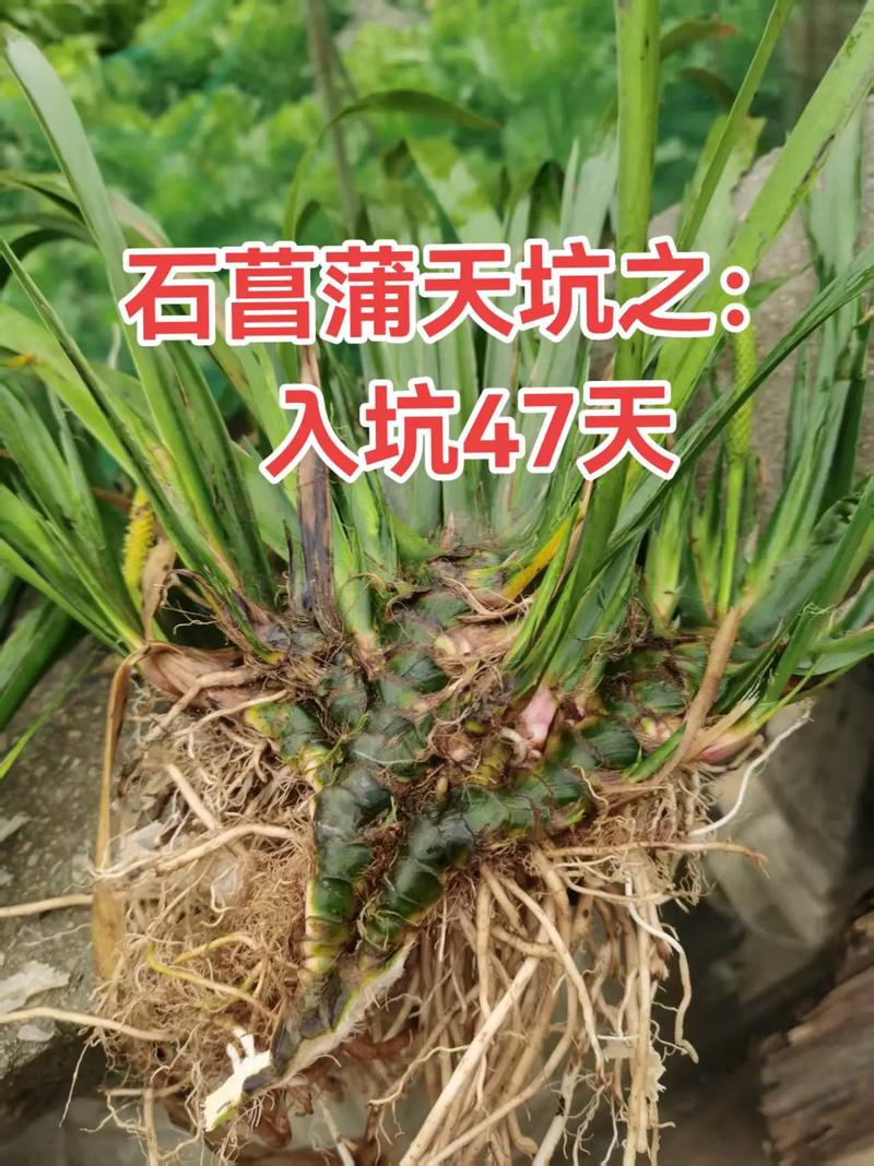 总结