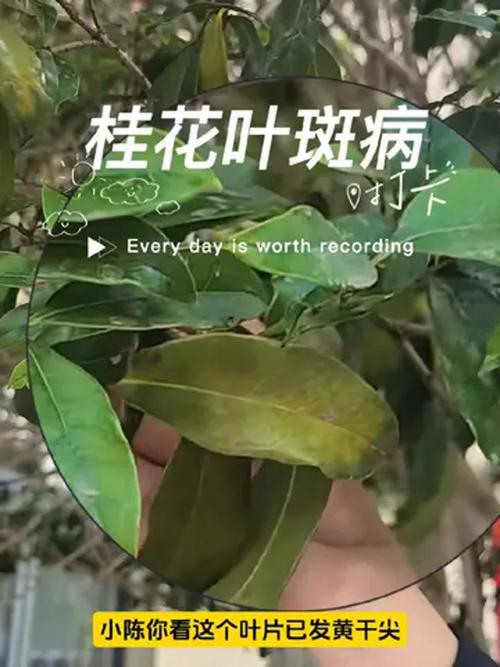 五、总结