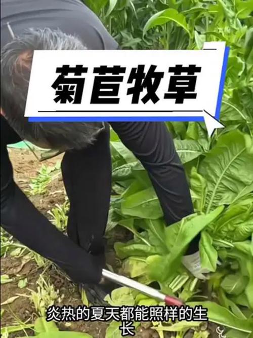 结语
