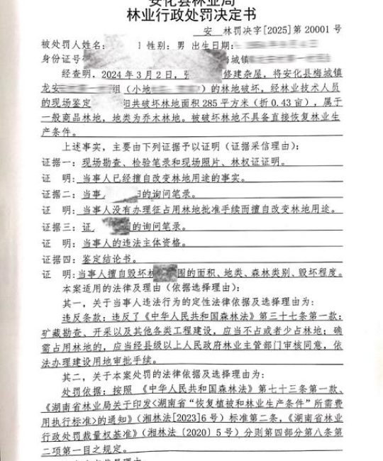 私自砍伐树木处罚标准及法律风险详解