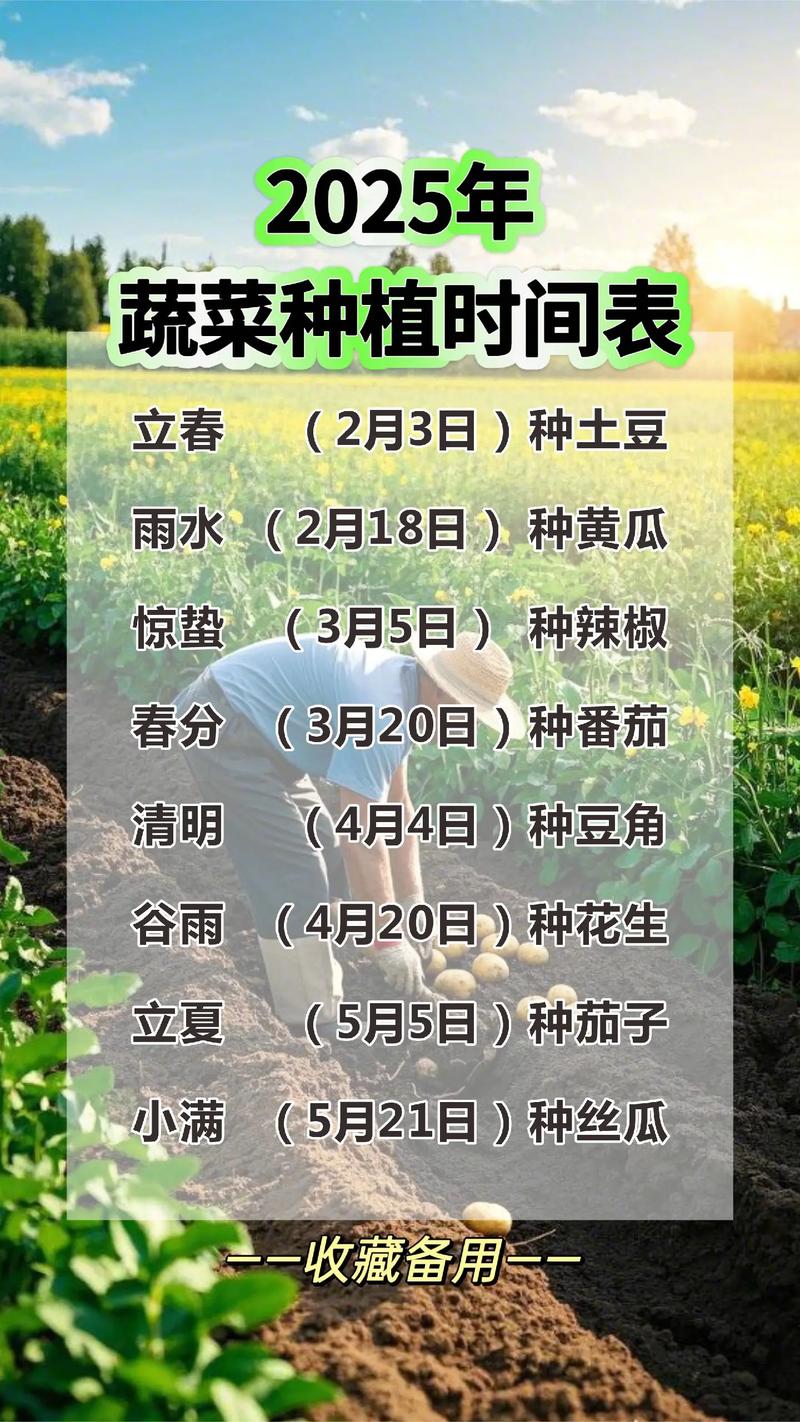 苦草种植时间全攻略:什么时候种最好?分南北方给出精准时间表 分区域种植时间表