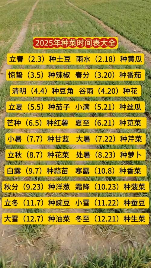 苦草种植时间全攻略:什么时候种最好?分南北方给出精准时间表 扩繁控制:防止过度蔓延