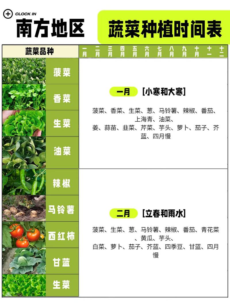 苦草种植时间全攻略:什么时候种最好?分南北方给出精准时间表 常见问题FAQ