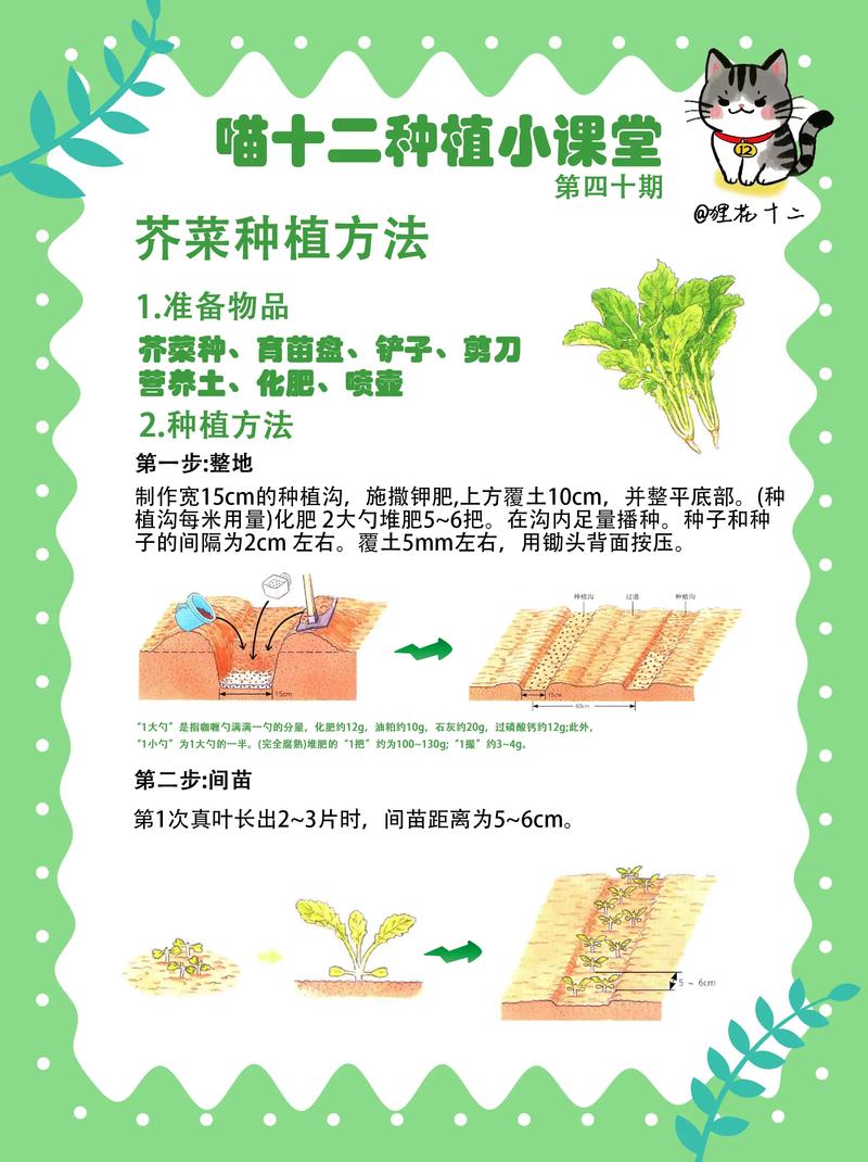 1. 适宜时间