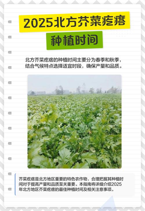 4. 栽植深度