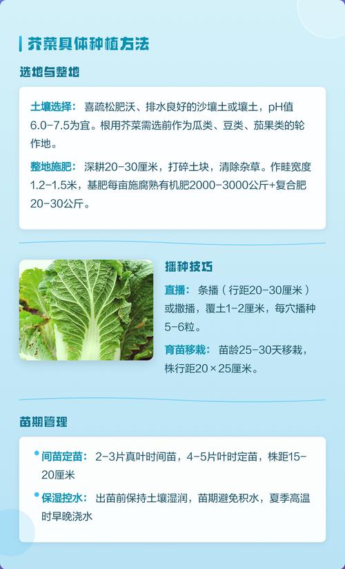 5. 浇定根水