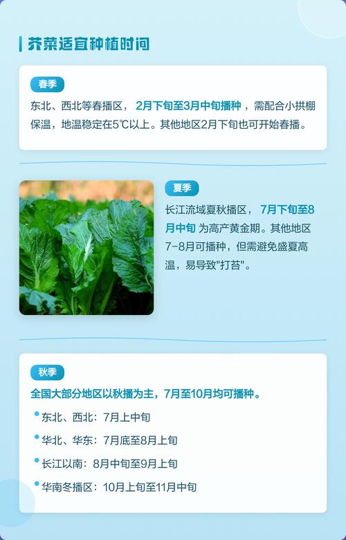7. 成活注意事项