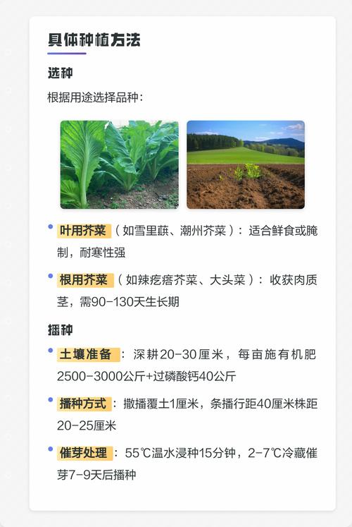 6. 缓苗管理