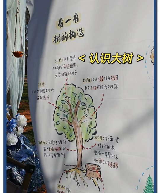 门口种树实用指南：科学选树，兼顾安全与景观