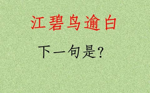 接骨草：忍冬科灌木的形态特征与园林应用详解