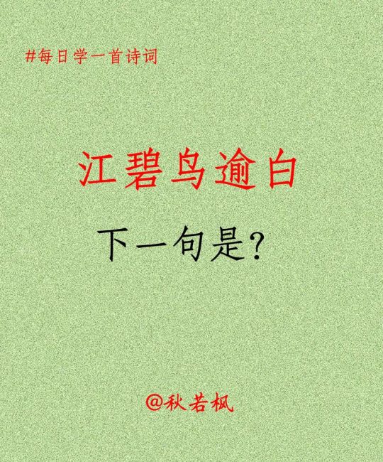 接骨草：忍冬科灌木的形态特征与园林应用详解