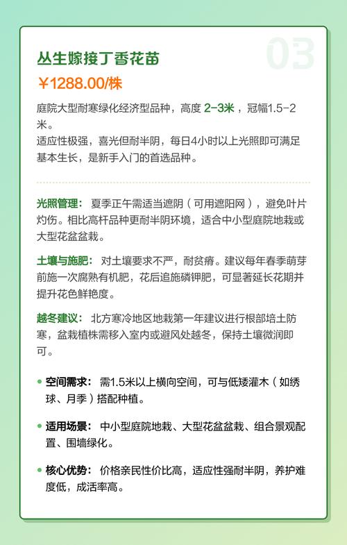 丁香苗多少钱一棵?2025年最新价格全解析(附规格对比表) 核心影响因素一:规格与品相