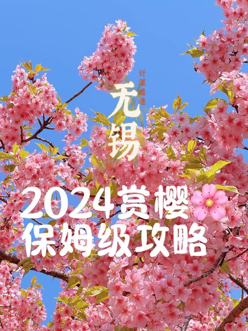 最佳观赏时间和地点