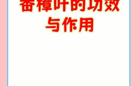香樟树叶子的作用与功效：药用价值、安全性及使用禁忌详解