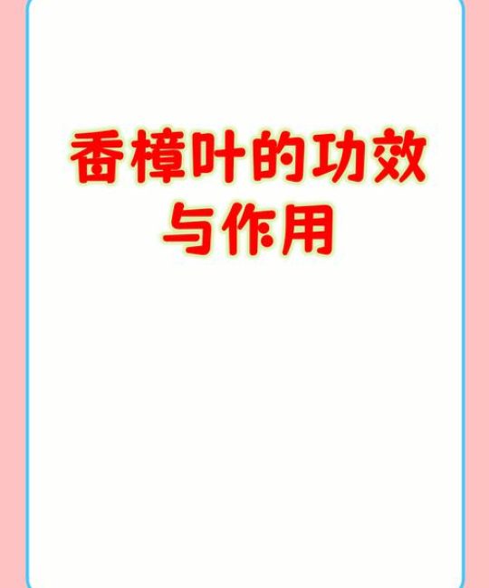 香樟树叶子的作用与功效：药用价值、安全性及使用禁忌详解