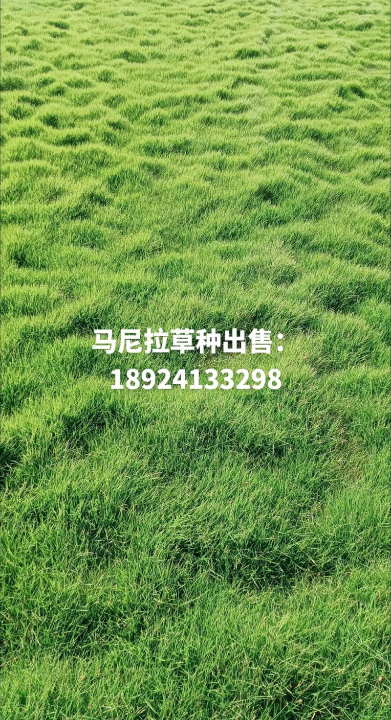 产地差异与价格