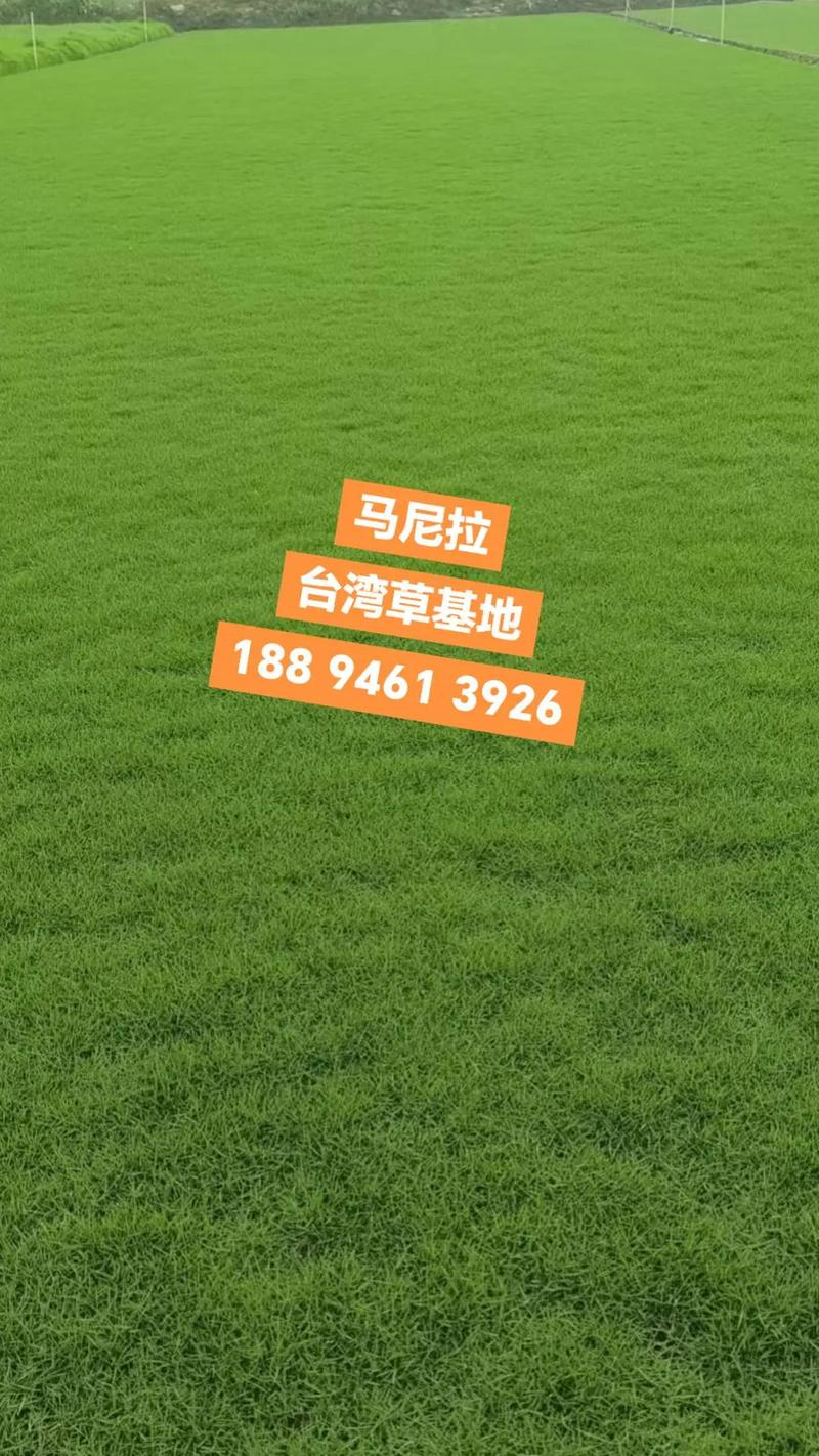 运输成本标注